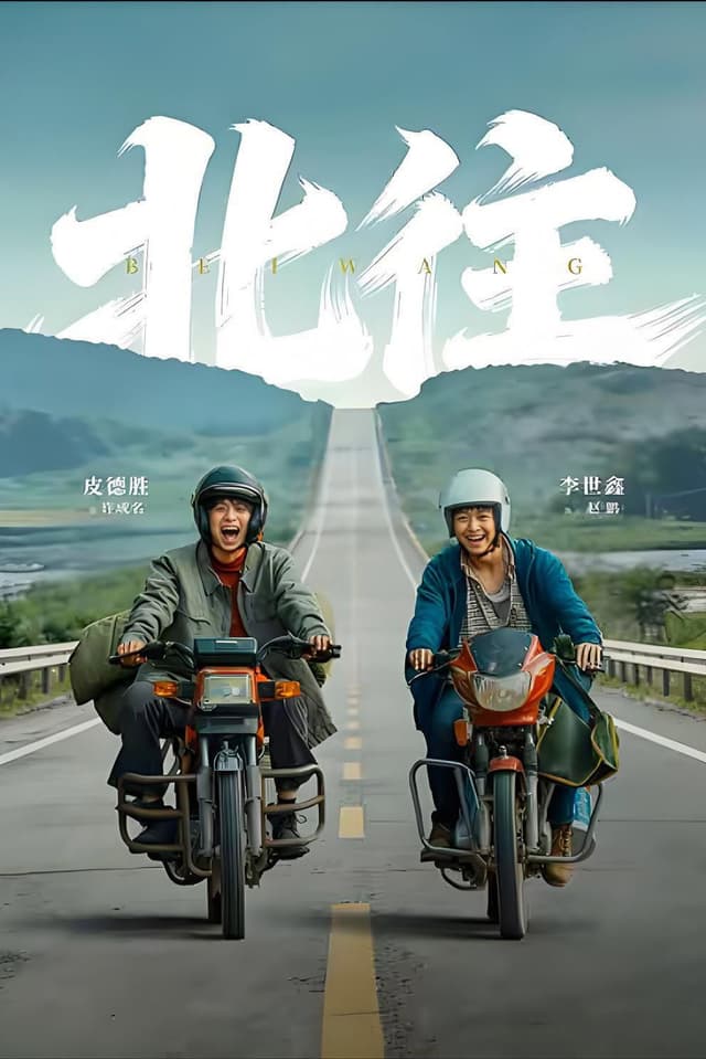 北往