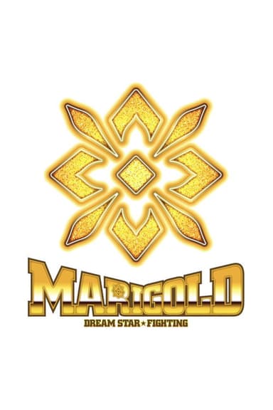 Dream Star★Fighting Marigold